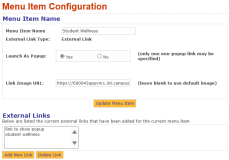 Menu item configuration